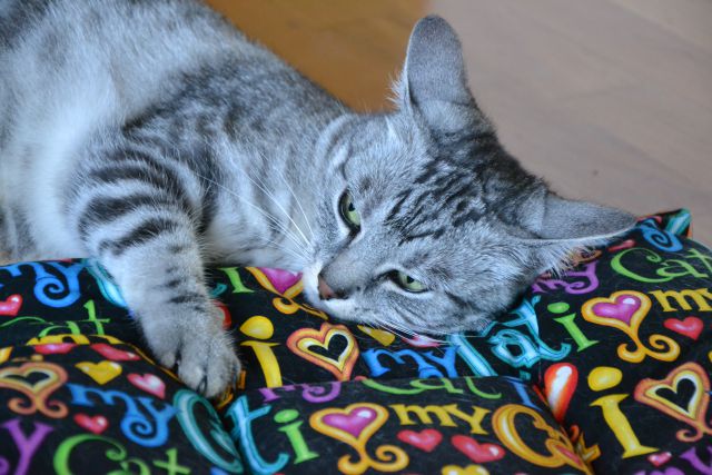 Slika