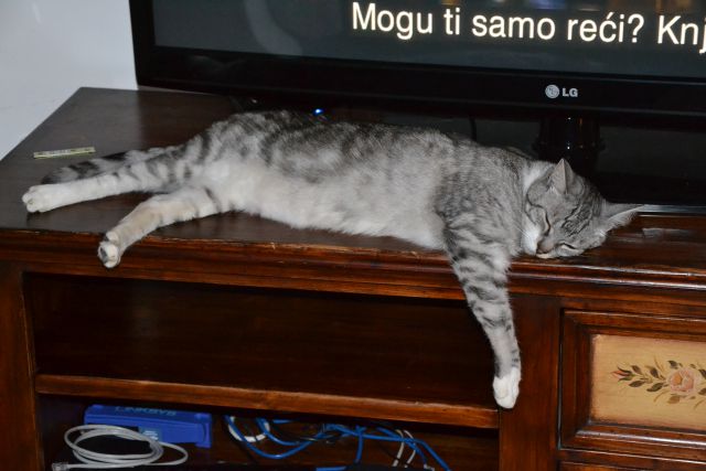 Slika