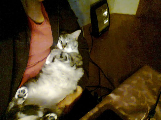 Slika