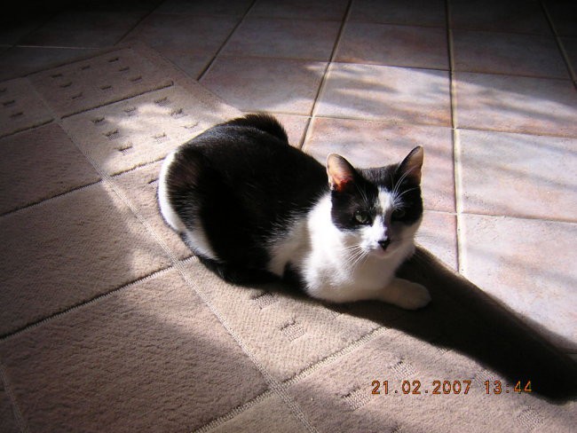 Muki