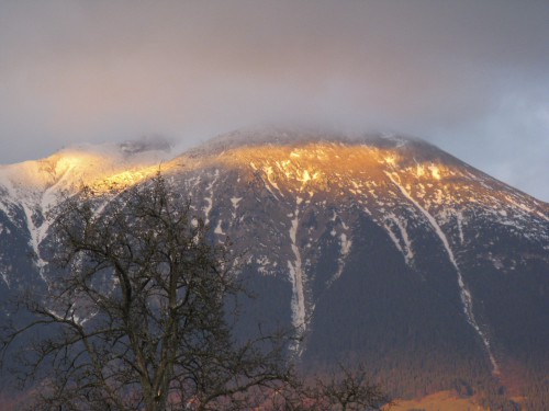 November 2007 - foto povečava