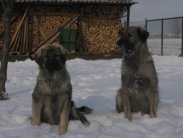 FITA NA SNEGU (23.12..2007) - foto