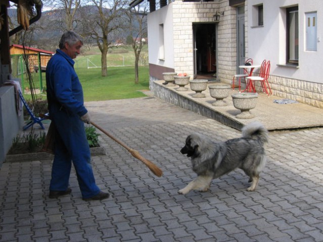 Fita v vodi in s prijateljico Tiso - foto