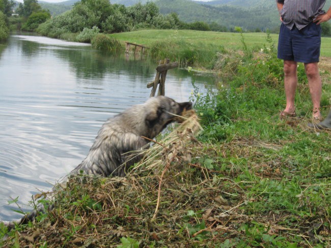 FITA POLETI - foto povečava