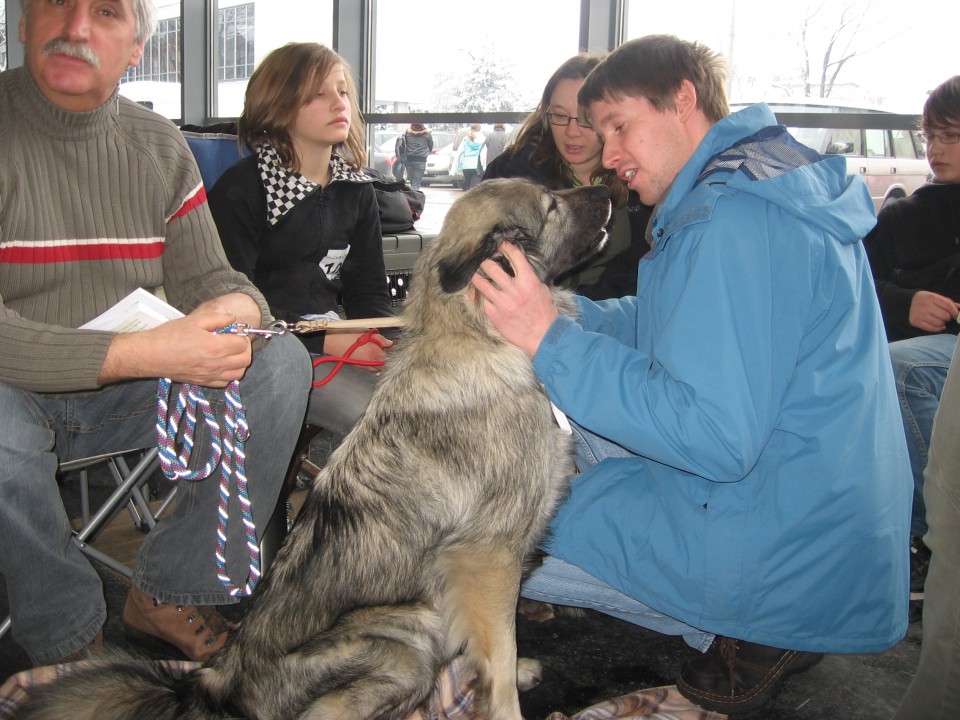 Cacib 17.1.2009 - foto povečava