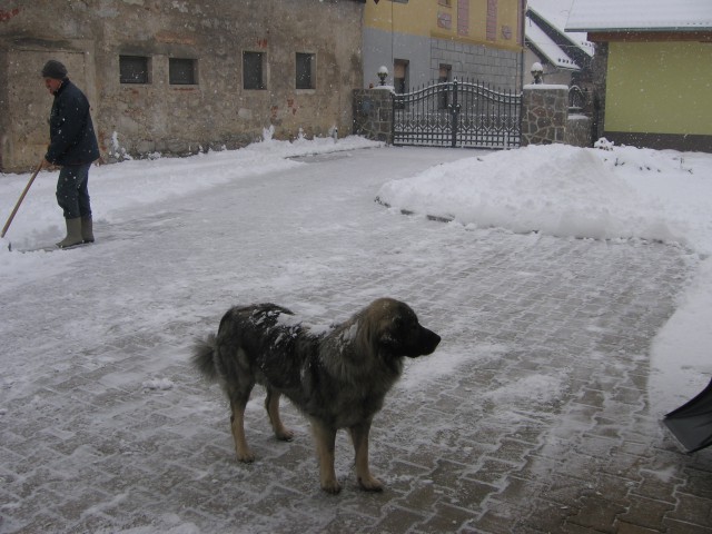 Zima 2008/2009 - foto