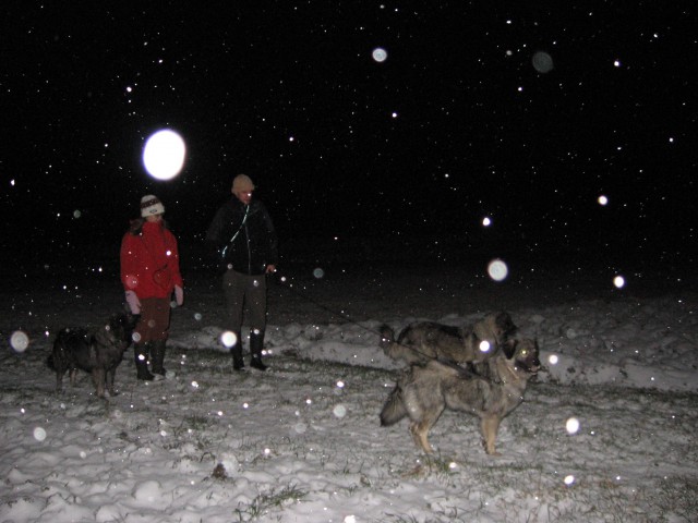 Zadnji izdihljaji leta 2008 - foto