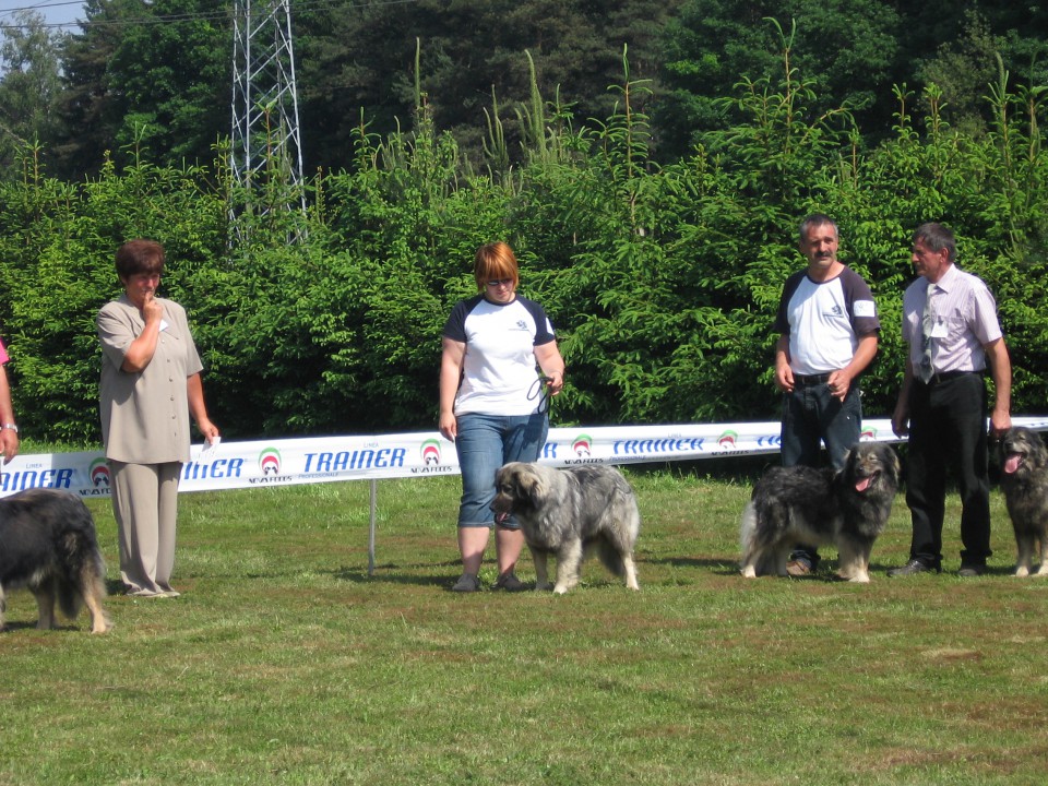 SPECIALNA RAZSTAVA, 17.5.2009, MARIBOR - foto povečava