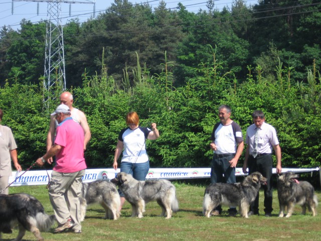 SPECIALNA RAZSTAVA, 17.5.2009, MARIBOR - foto