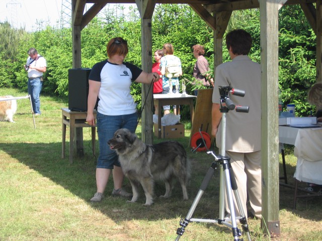 SPECIALNA RAZSTAVA, 17.5.2009, MARIBOR - foto