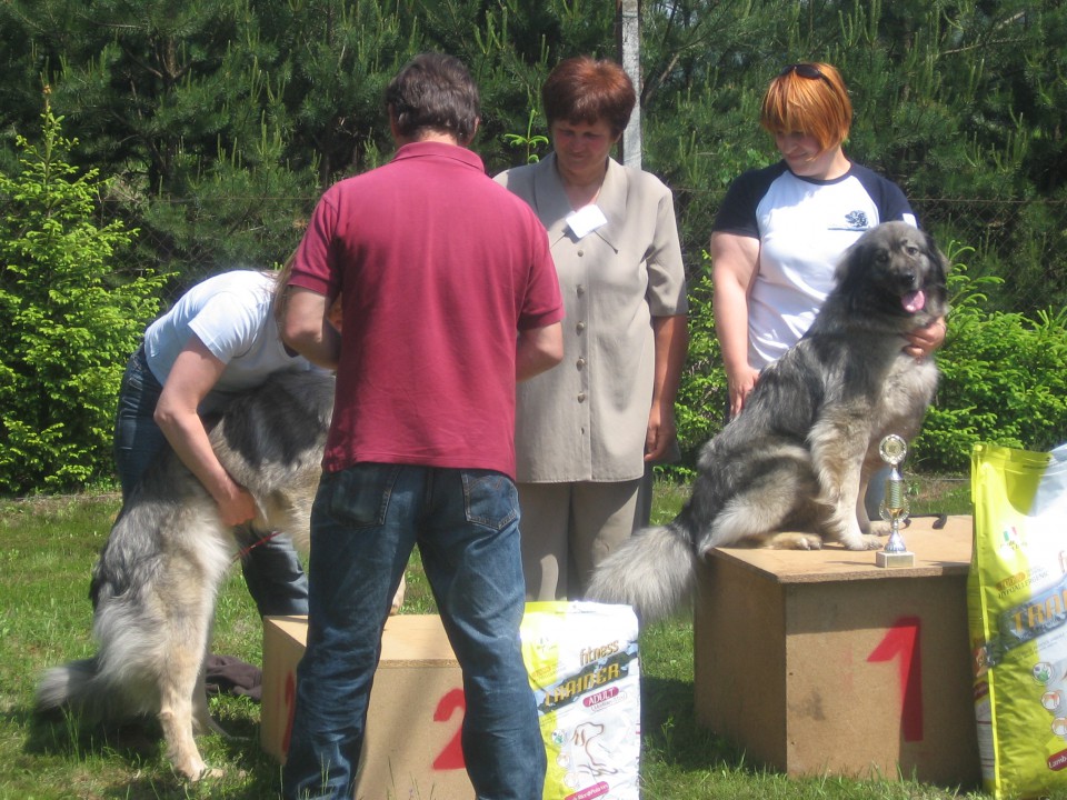 SPECIALNA RAZSTAVA, 17.5.2009, MARIBOR - foto povečava