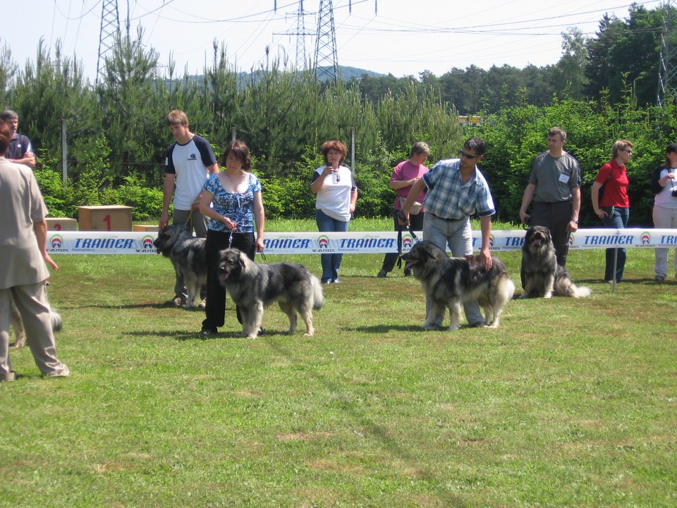 SPECIALNA RAZSTAVA, 17.5.2009, MARIBOR - foto povečava