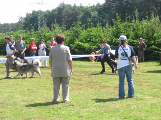 SPECIALNA RAZSTAVA, 17.5.2009, MARIBOR - foto