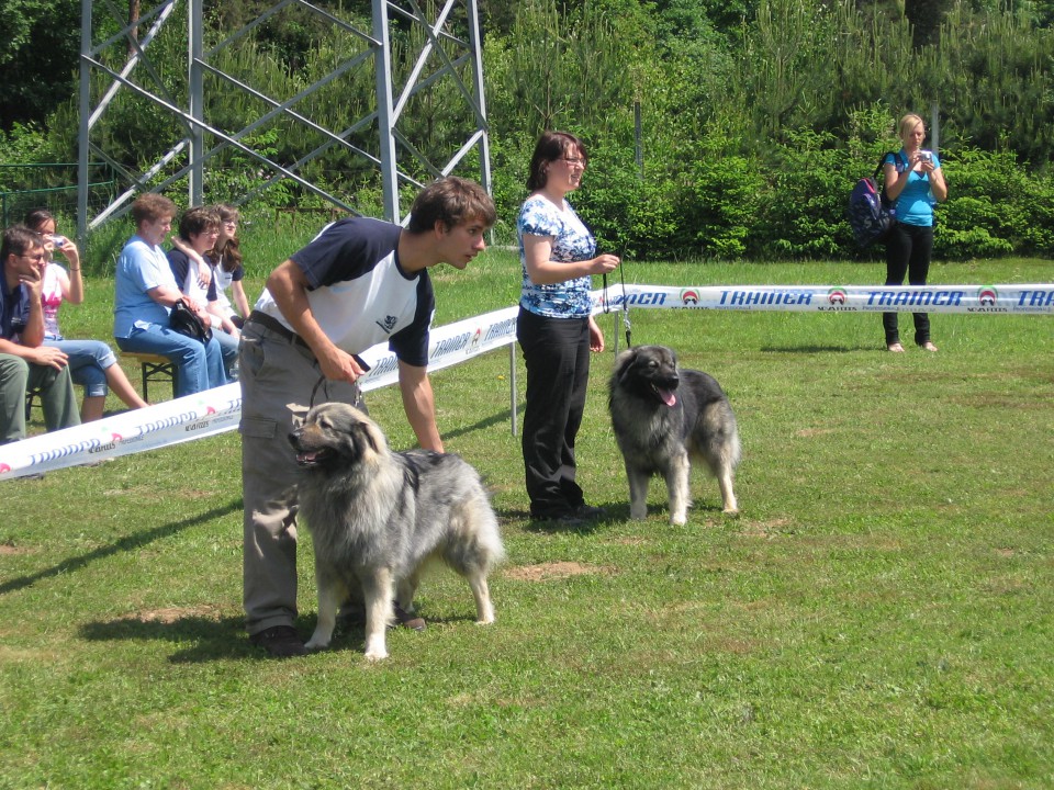 SPECIALNA RAZSTAVA, 17.5.2009, MARIBOR - foto povečava