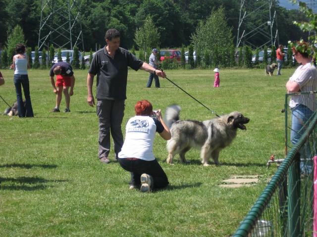 SPECIALNA RAZSTAVA, 17.5.2009, MARIBOR - foto