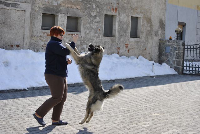 Naša Fita je še vedno igriva Fita - foto