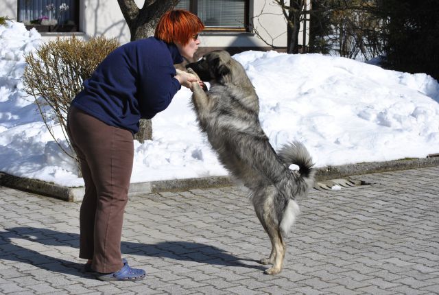 Naša Fita je še vedno igriva Fita - foto