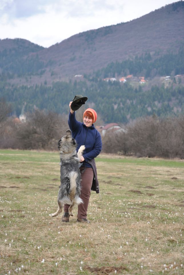 POMLAD 2010 - foto povečava