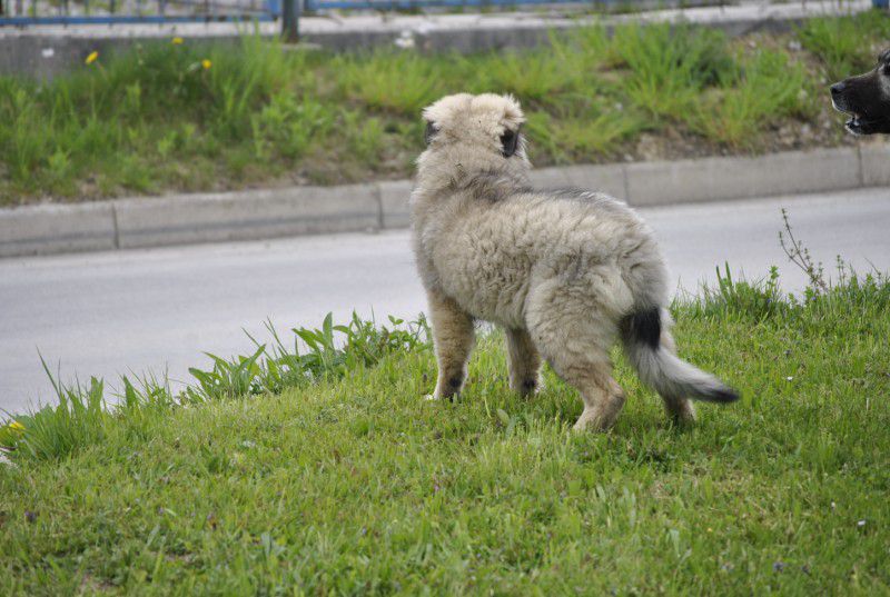 Prvič pri Histri na obisku, 24.5.2010 - foto povečava