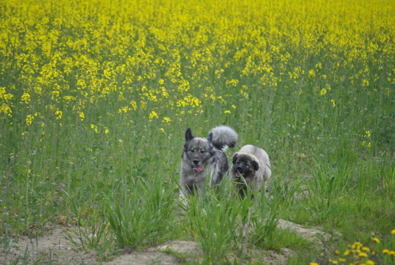 Prvič pri Histri na obisku, 24.5.2010 - foto povečava