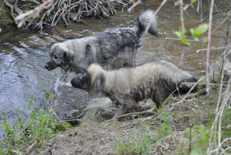 Prvič pri Histri na obisku, 24.5.2010 - foto povečava