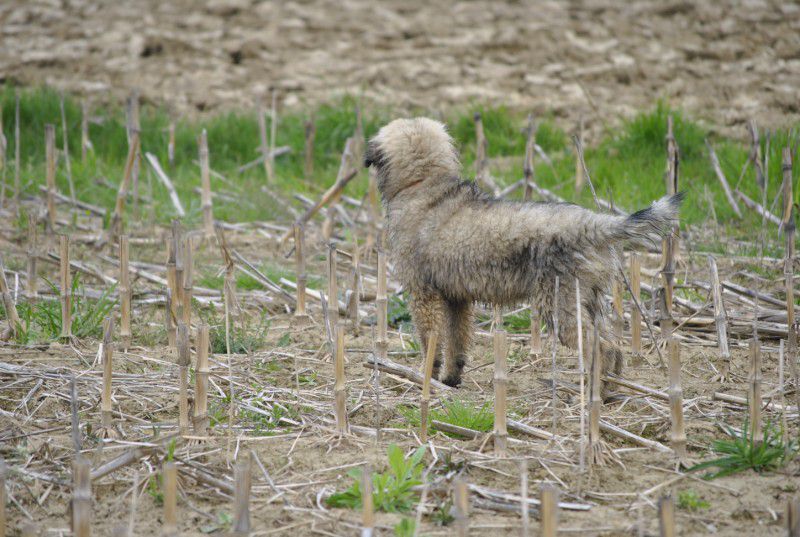 Prvič pri Histri na obisku, 24.5.2010 - foto povečava