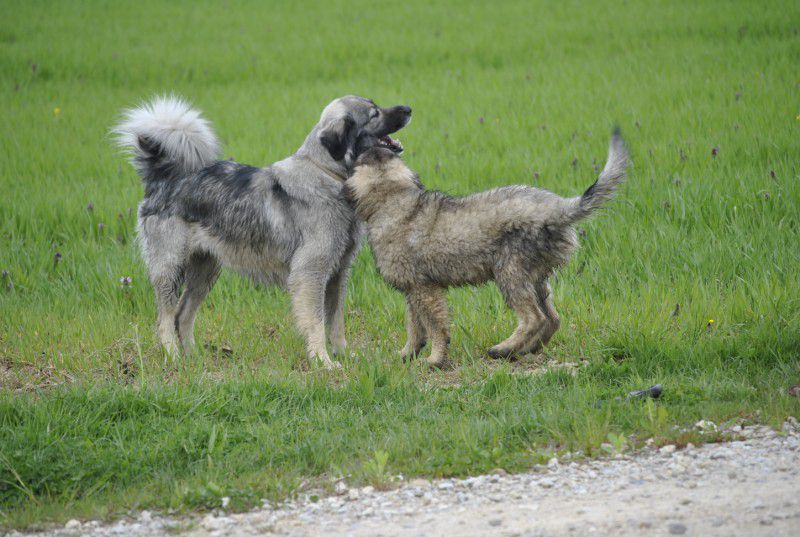 Prvič pri Histri na obisku, 24.5.2010 - foto povečava