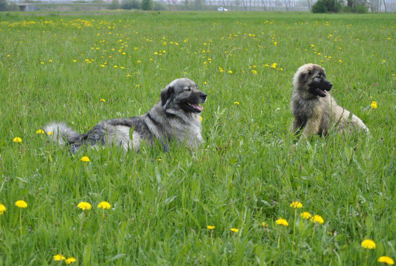 Prvič pri Histri na obisku, 24.5.2010 - foto povečava