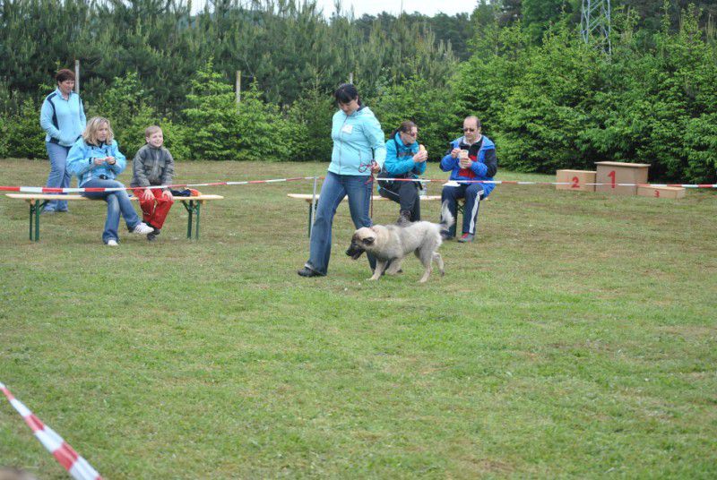 Specialna razstava v Mariboru, 16.5.2010 - foto povečava