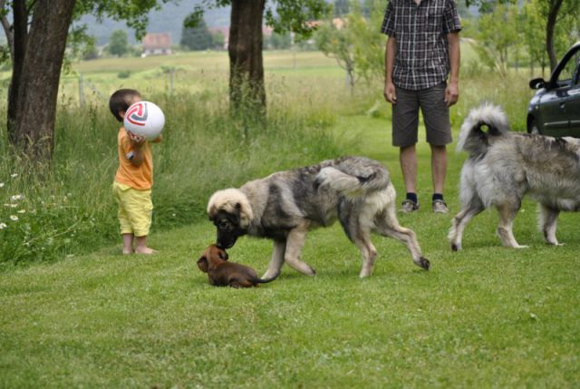 HISTRA PUDOBSKA PRVIČ NA OBISKU V PUDOBU - foto