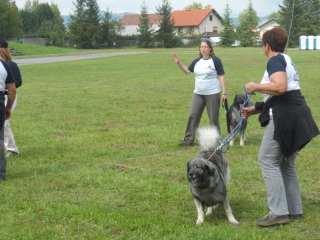 Predstavitev na Ribniškem sejmu, 5.9.2010 - foto