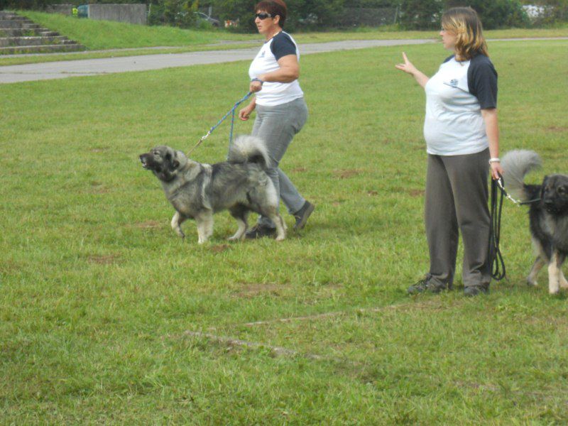 Predstavitev na Ribniškem sejmu, 5.9.2010 - foto povečava