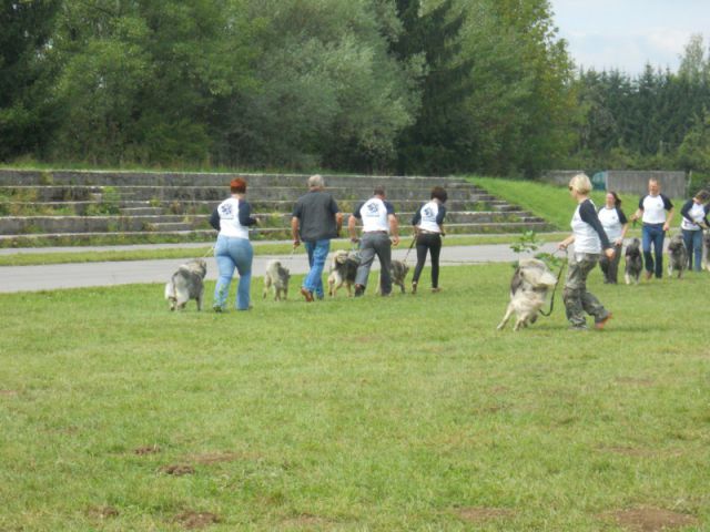 Predstavitev na Ribniškem sejmu, 5.9.2010 - foto