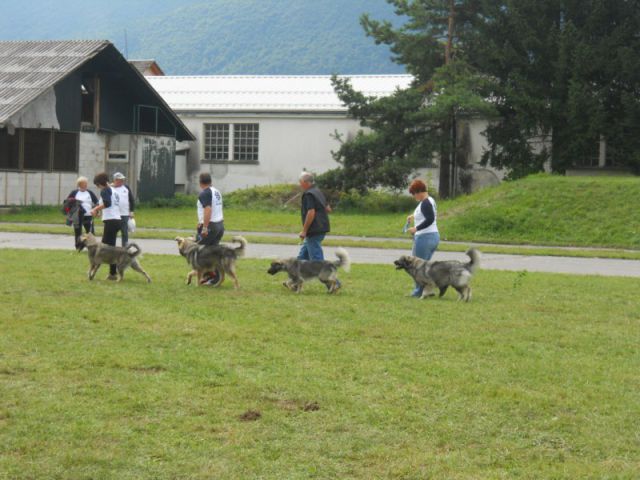 Predstavitev na Ribniškem sejmu, 5.9.2010 - foto