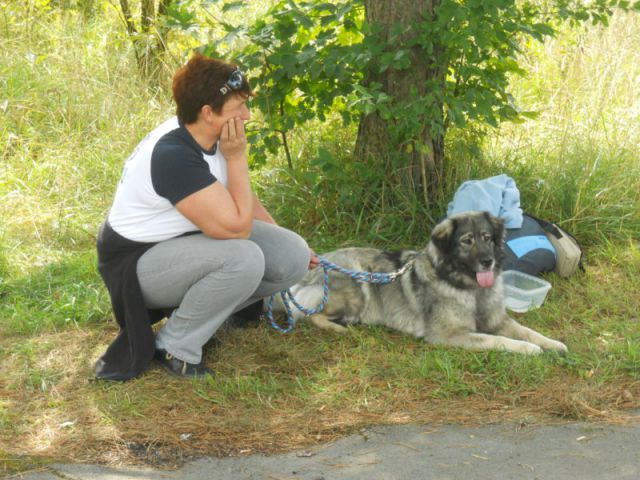 Predstavitev na Ribniškem sejmu, 5.9.2010 - foto