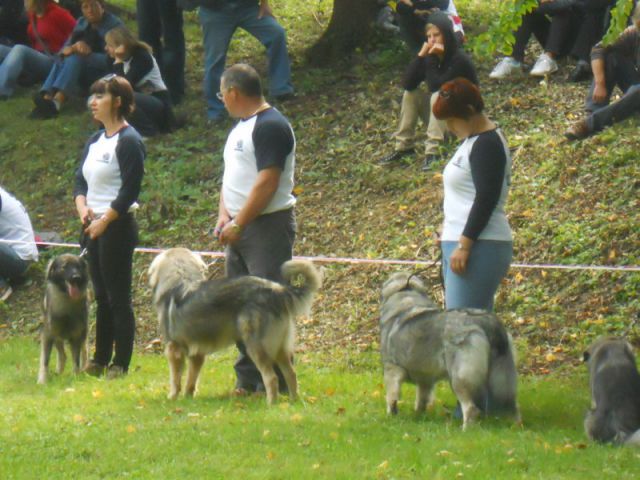 Predstavitev na Ribniškem sejmu, 5.9.2010 - foto