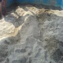 Lulek iz peska...