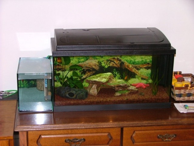 Nov mini akvarij - čakalnica za ribice : )