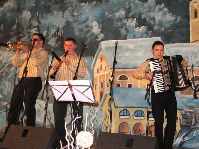 Koncert Slovenski zvoki-Pišece 2008 - foto