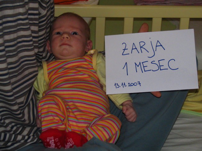 1 mesec