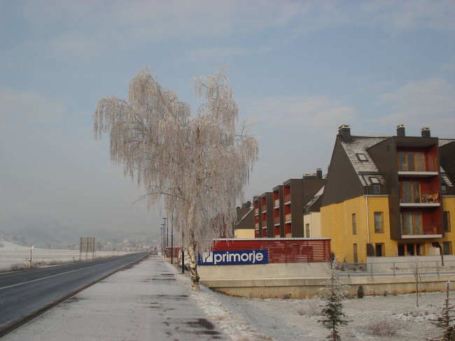  sončni log  ,v zimski  idili 2008