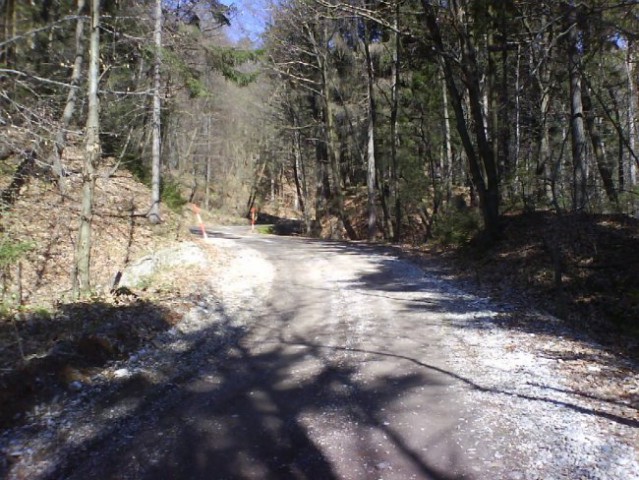 Pohorje-ostale slike - foto