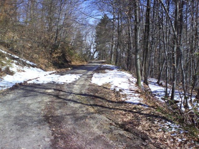 Pohorje-ostale slike - foto