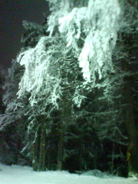 Nočno potepanje po Pohorju 28.12.2007 - foto