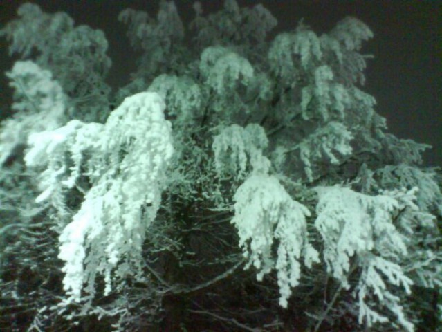 Nočno potepanje po Pohorju 28.12.2007 - foto