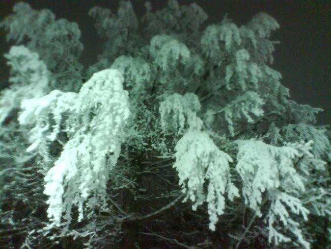 Nočno potepanje po Pohorju 28.12.2007 - foto povečava