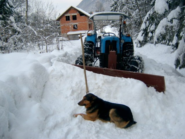 Pluženje