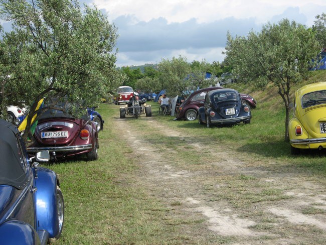 Srečanje vw-jev 2008 v IZOLI - foto povečava