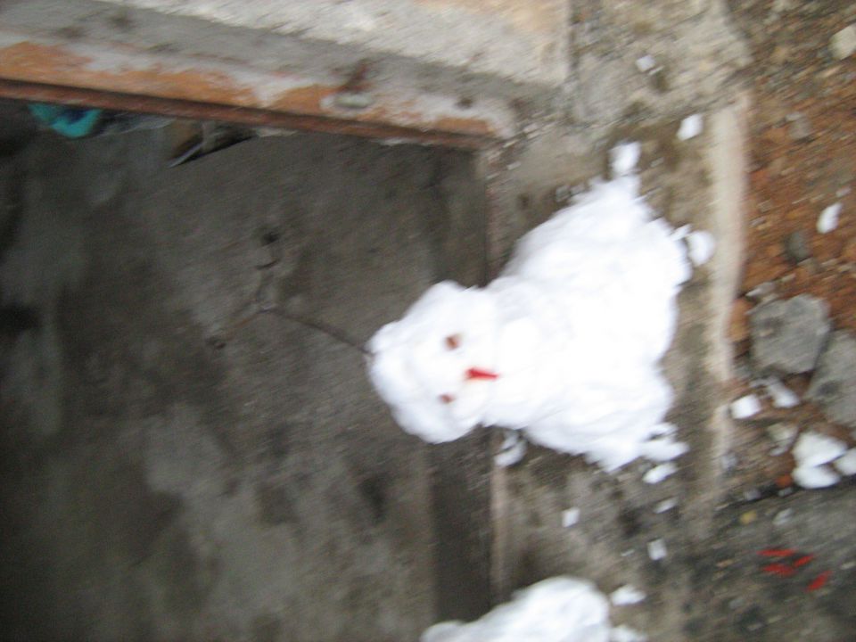 Zimska idila 2010 - foto povečava