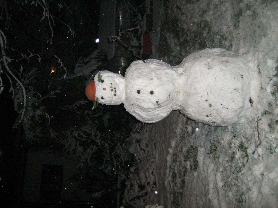 ta snežak je debest XD